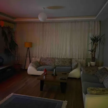 In The Center, Comfortable, Friendly And Fresh Flat